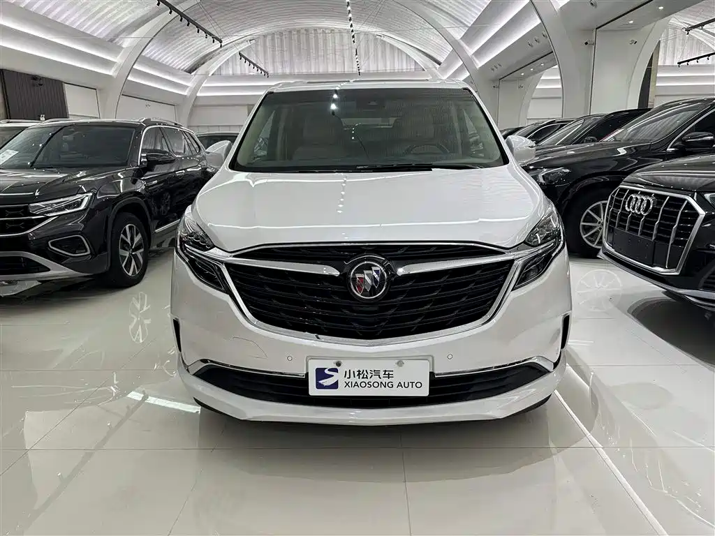 Buick GL8 2022 ES Landmark 653T Premium фото 2
