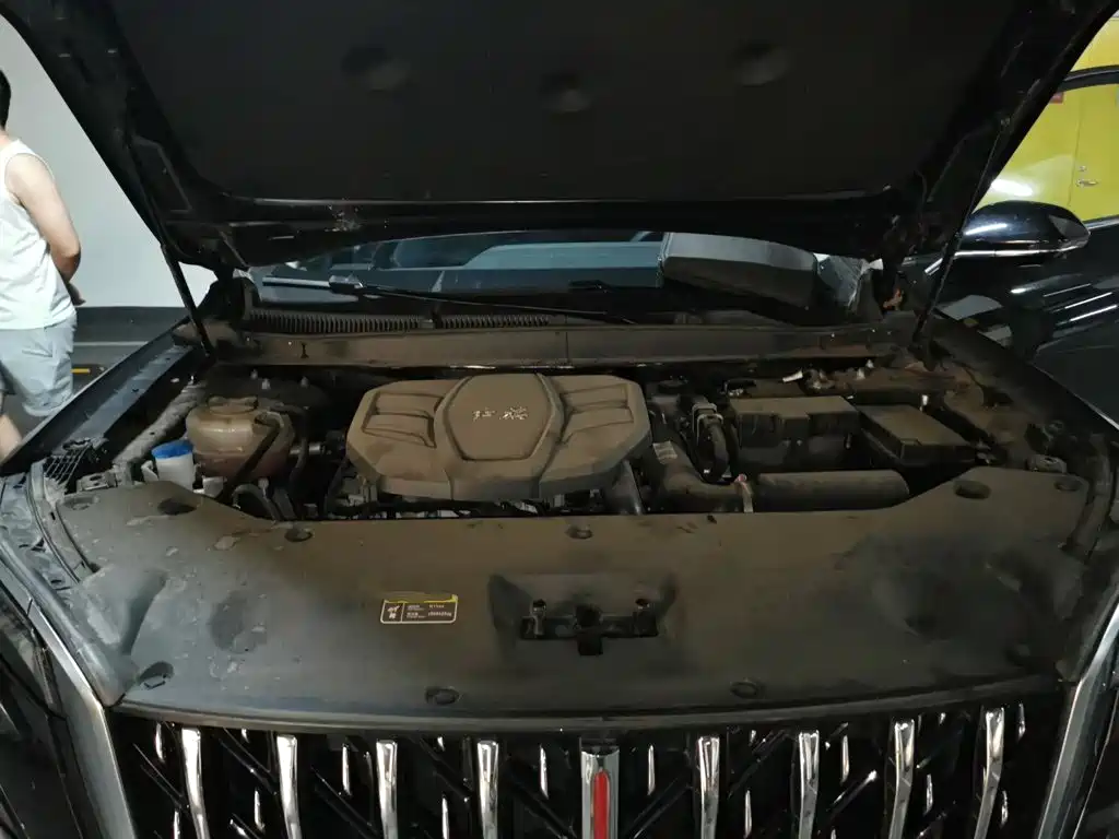 Hongqi HS5 2025 2025 2.0T 2WD Qixiang Pro
