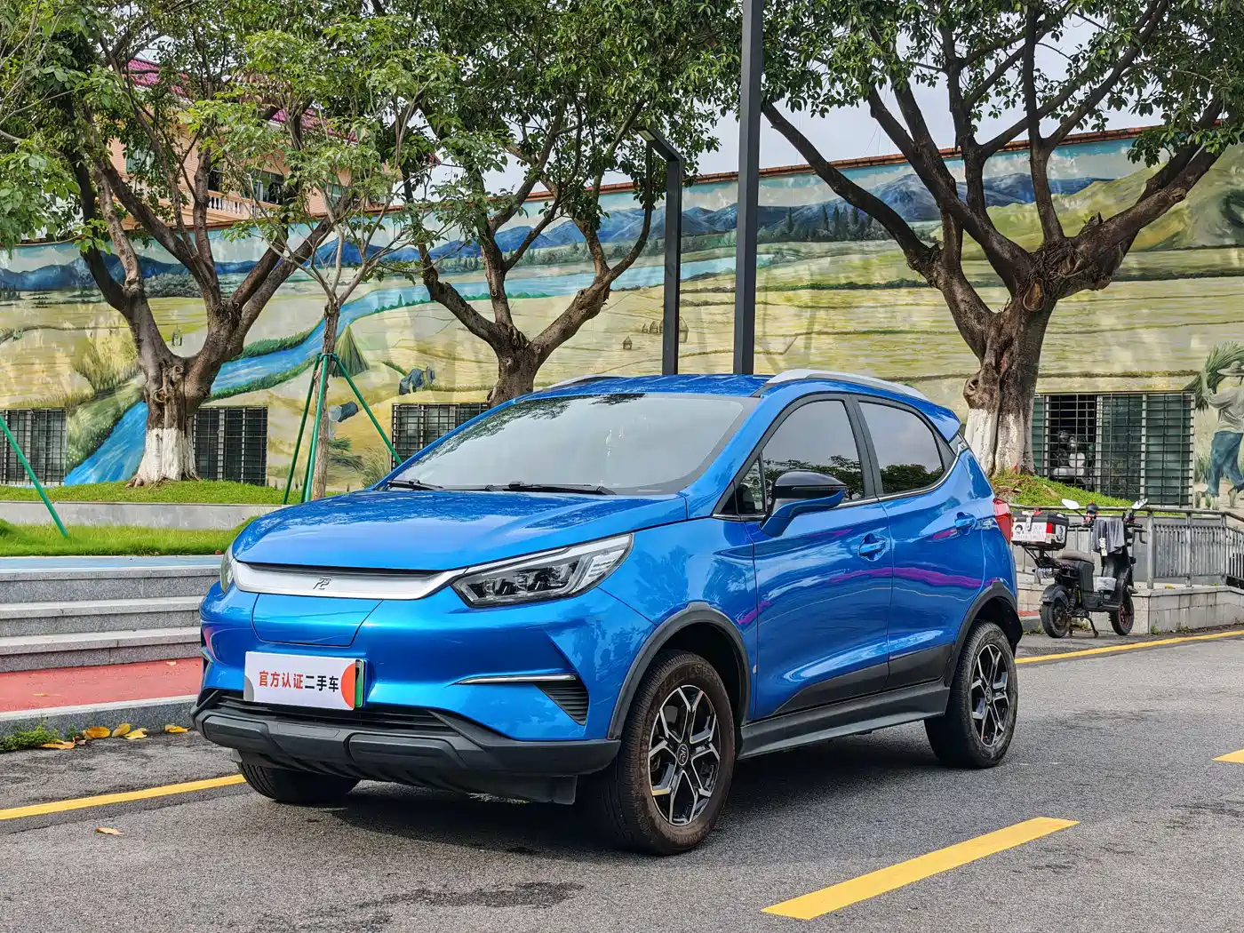 BYD Yuan Pro 2021 2021 401KM Luxury Model