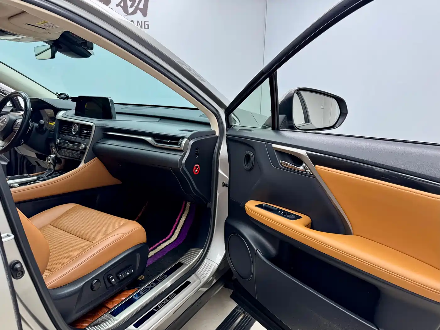 Lexus RX 2020 300 4WD Elegance Edition China VI фото 12