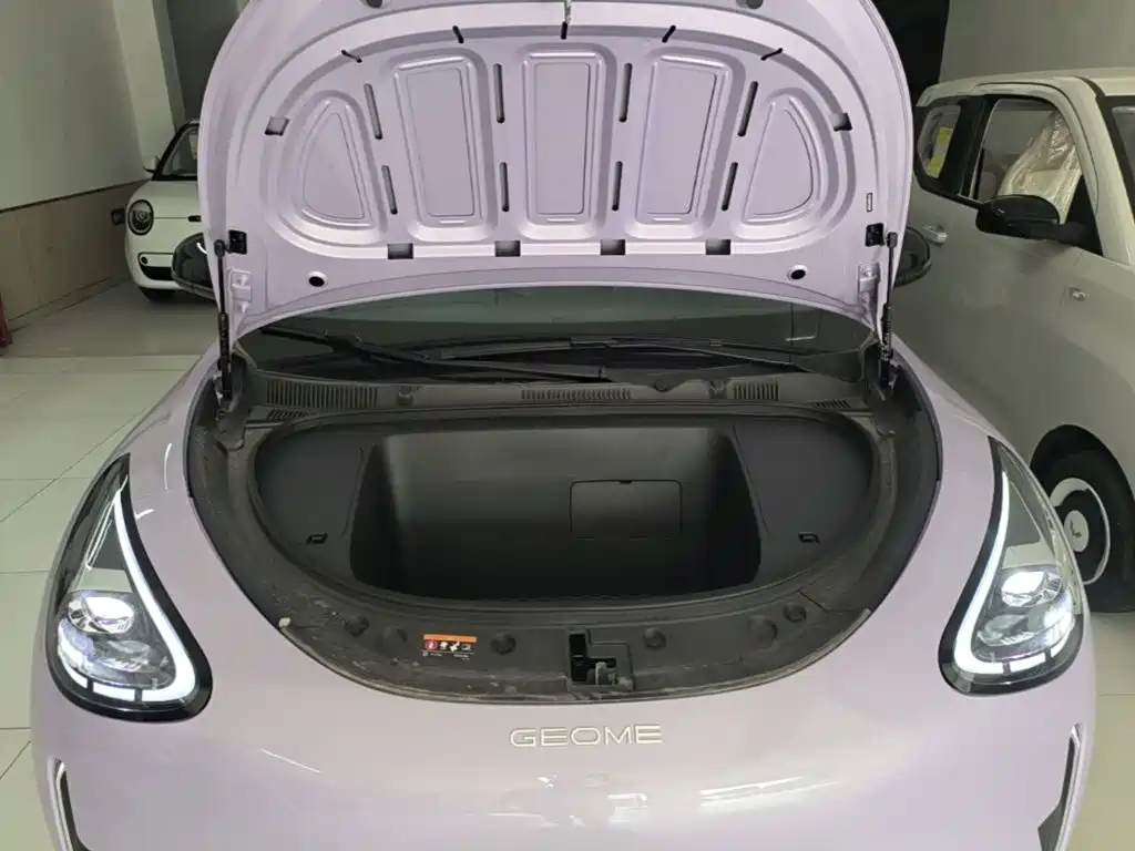 Geely Galaxy Starry Wish 2026 2026 Model 310km Dream Edition