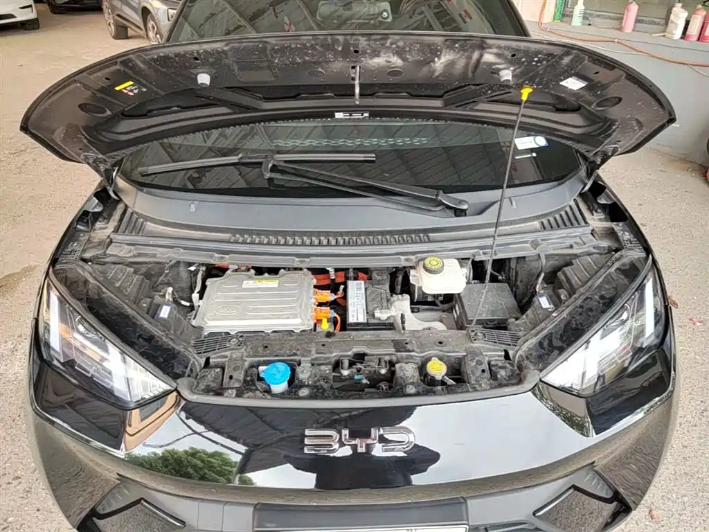 BYD Seagull 2024 Glory Edition 305km Vitality Edition фото 20