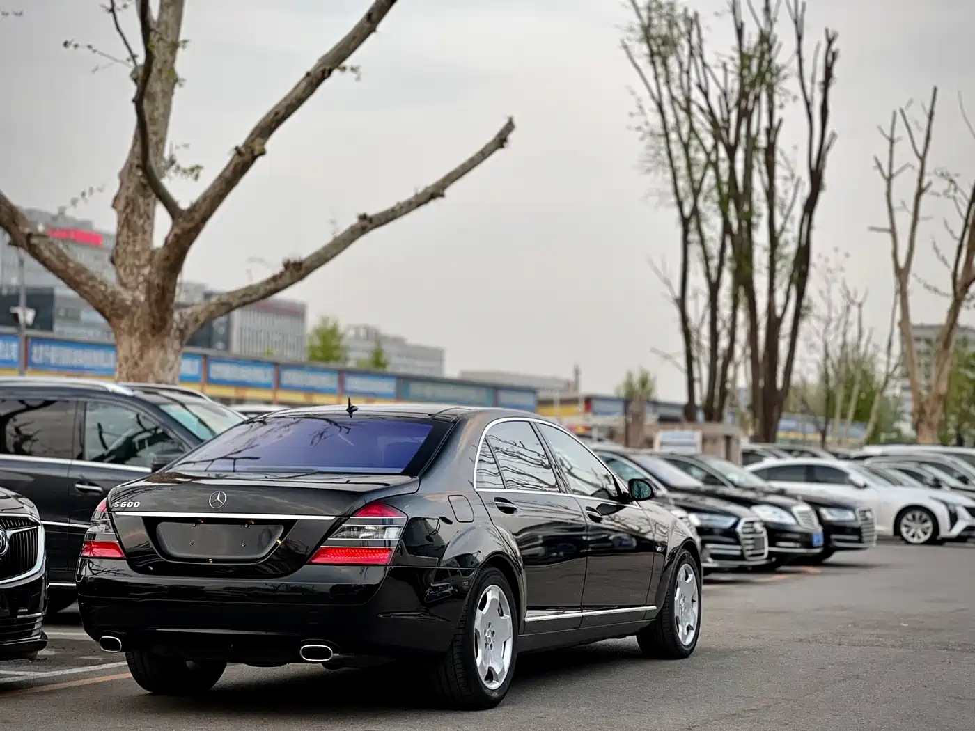 Mercedes-Benz S-Class 2008 Model S 600 L фото 8