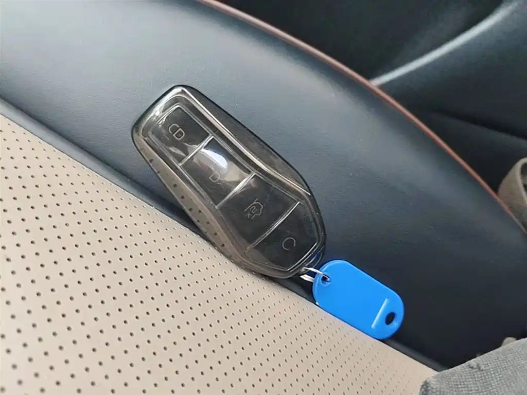 BYD Dolphin 2023 420km Fashion Edition фото 9