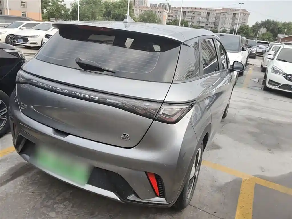 BYD Dolphin 2023 420km Fashion Edition фото 7