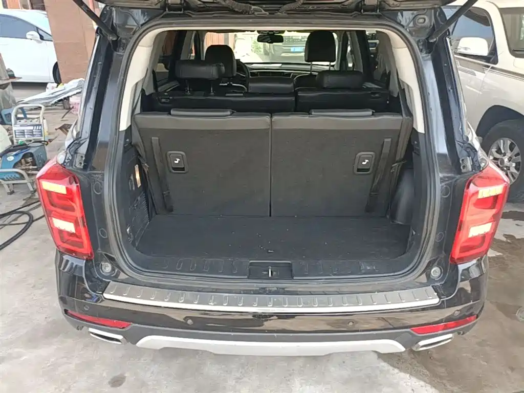 GAC Trumpchi Trumpchi GS8 2017 320T 2WD Luxury Smart Connect (7-seater) фото 19