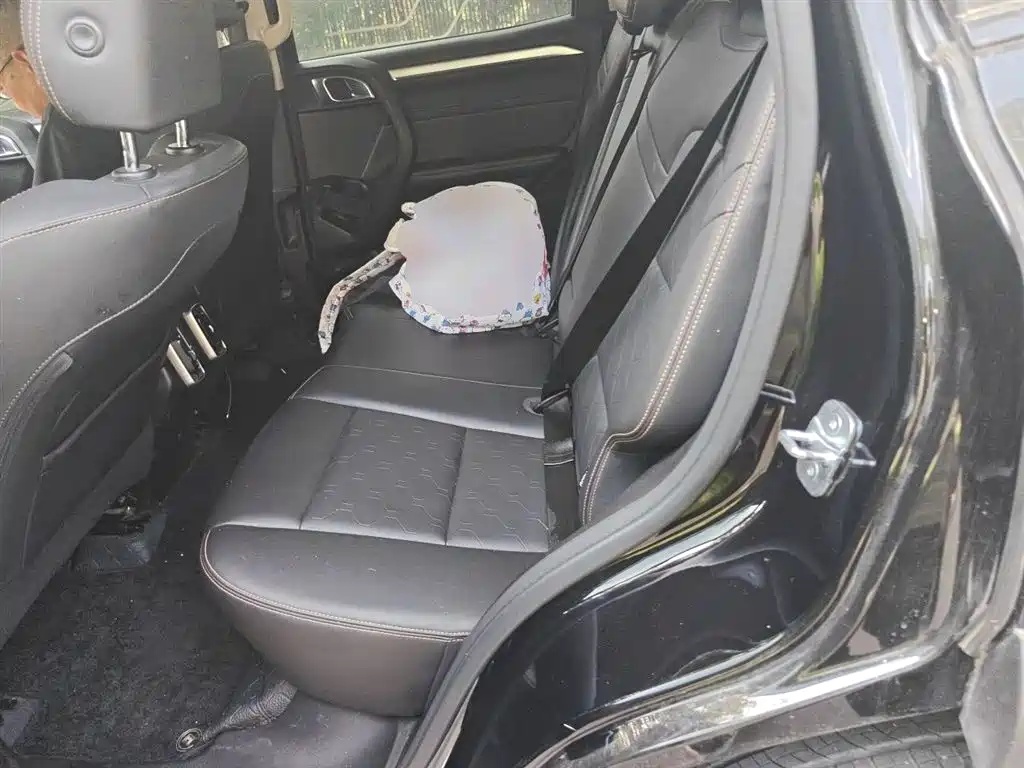 Haval Big Dog 2022 1.5T DCT FWD Border Collie Edition фото 14