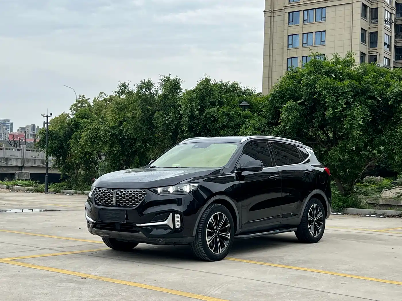 WEI PAI WEI BRAND VV6