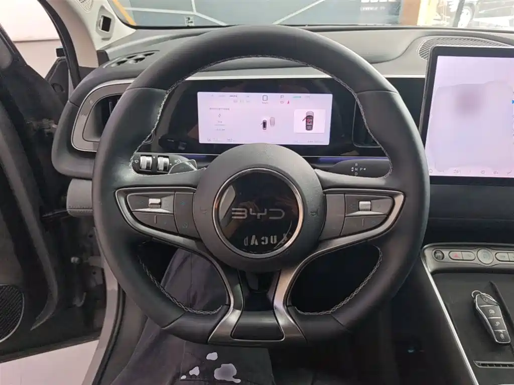 BYD Hai Shi 05 EV 2025 520KM Flagship Smart Navigation Edition фото 11