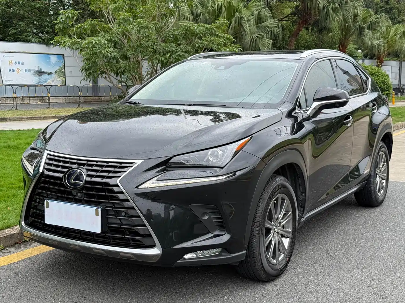 Lexus NX 2020 300h FWD F Sport China VI