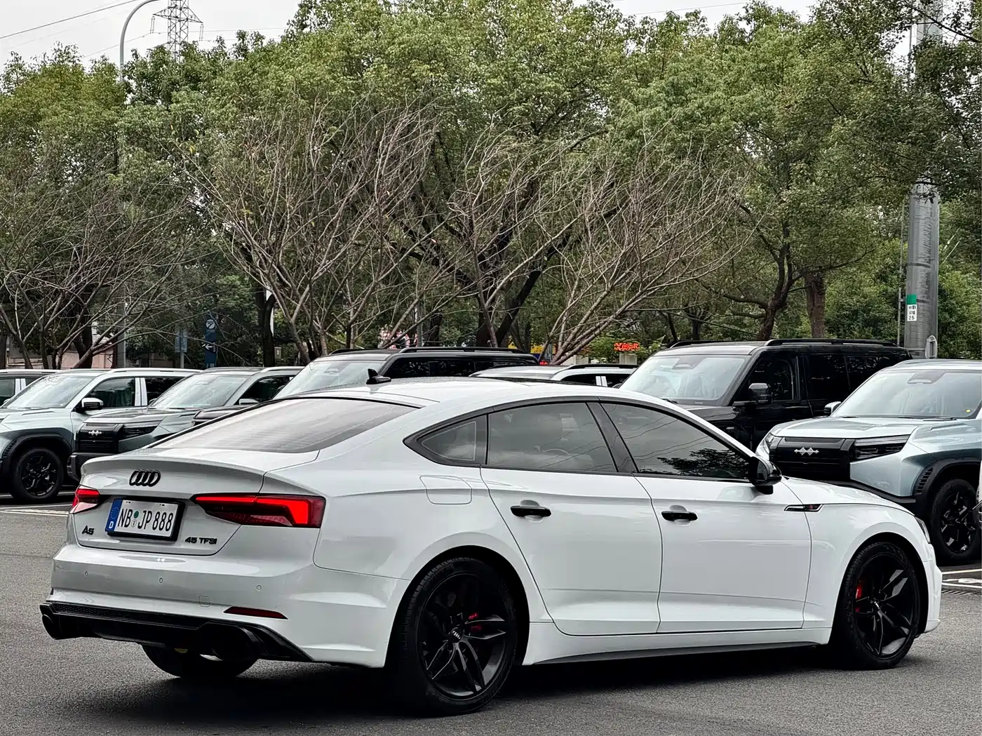 Audi A5 (Import) 2019 Sportback 40 TFSI Fashion фото 15