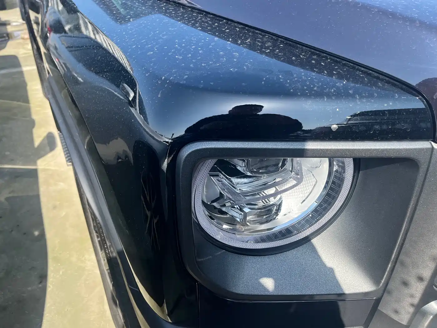 HAVAL RAPTORS NEW ENERGY