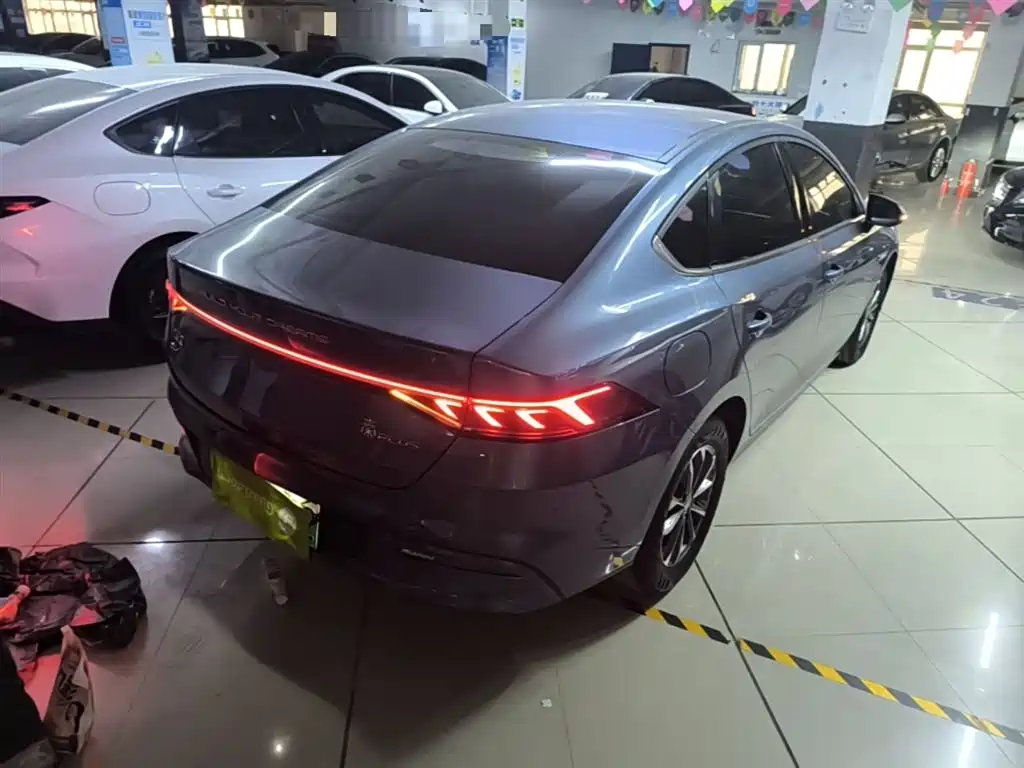 BYD Qin PLUS 2024 Glory Edition DM-i 55KM Leading фото 7