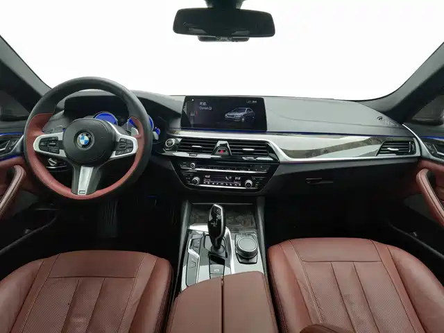 BMW 5 Series 2018 530Li Premium M Sport Package — фото 5