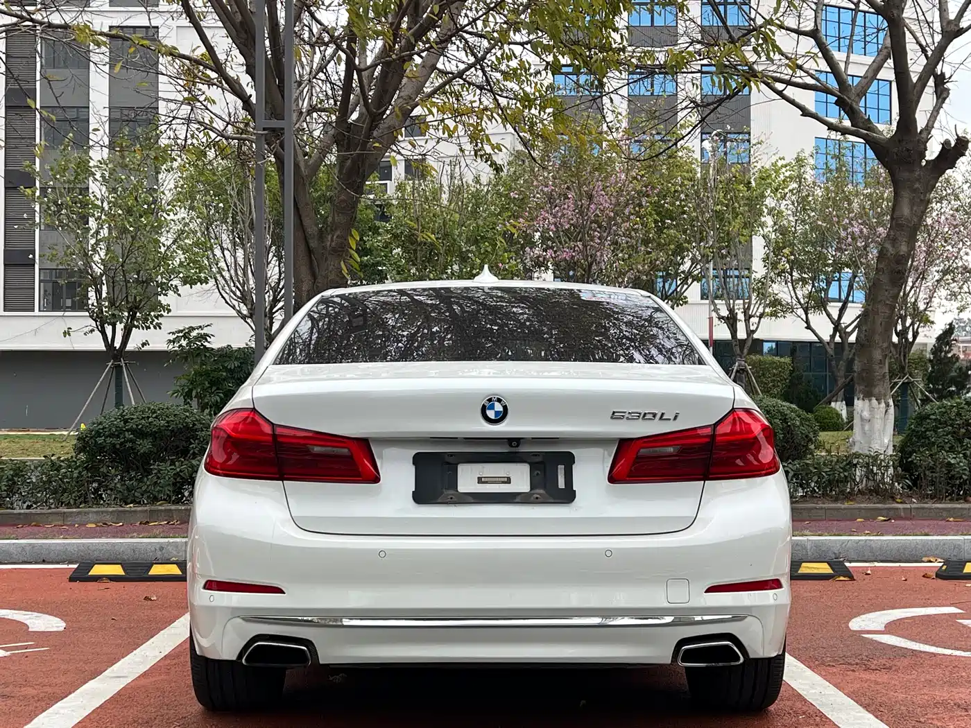 BMW 5 Series 2018 530Li Leading Luxury Package фото 8