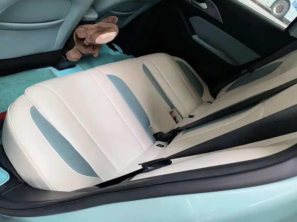 Geely Geometry E Firefly 2024 2024 Model 301km Starlight