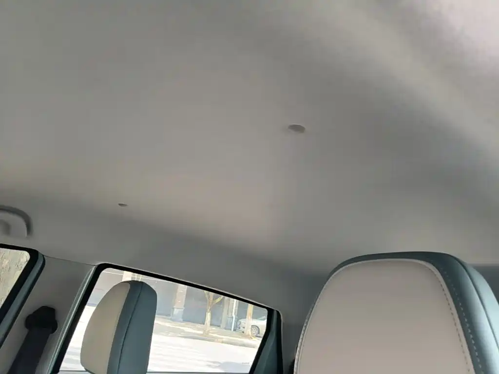 Geely Geometry E Firefly 2024 2024 Model 301km Starlight