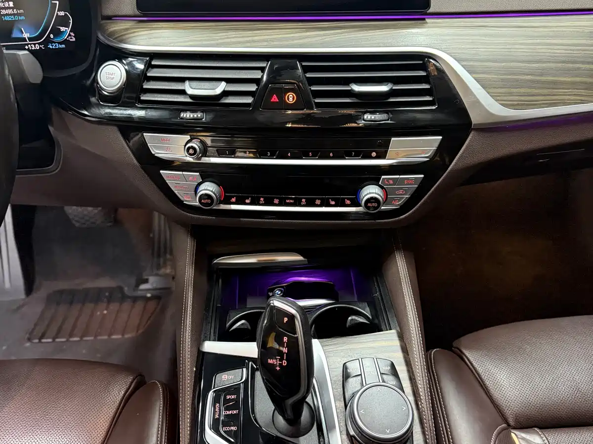 BMW 5 SERIES NEW ENERGY