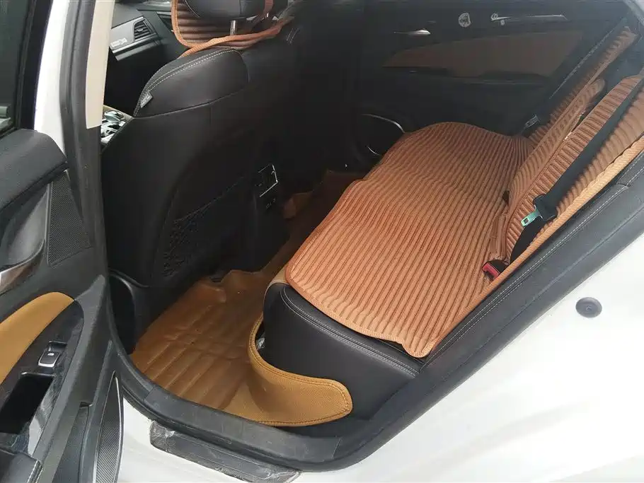 BYD Qin New Energy 2017 Qin EV300 Premium фото 11