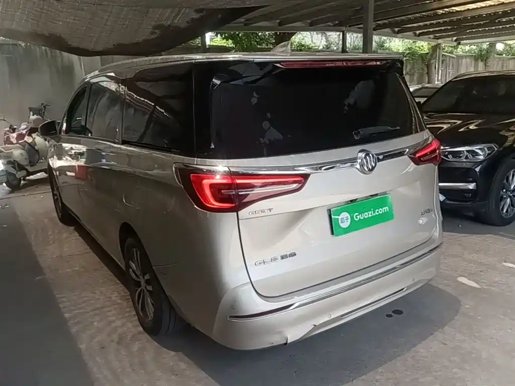 Buick GL8 2022 ES Landmark 653T Premium фото 5