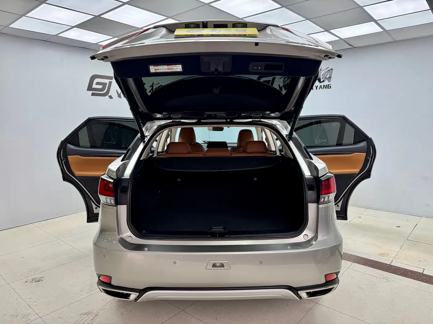 Lexus RX 2020 300 4WD Elegance Edition China VI фото 22