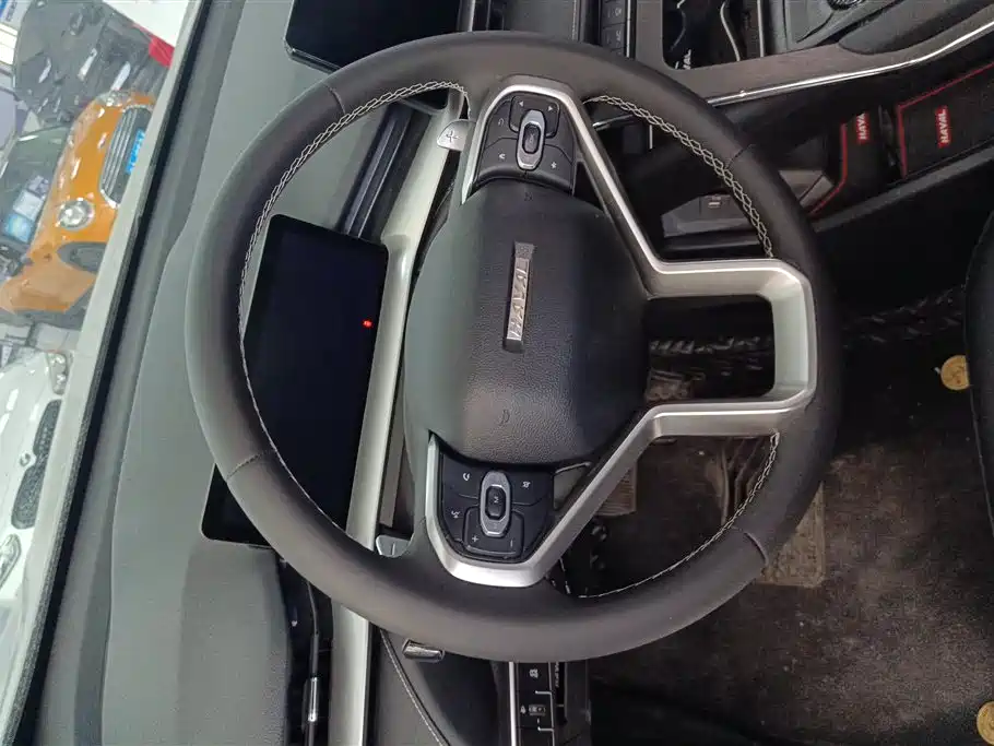 Haval H6 2022 3rd Gen 1.5T Auto 2WD Pro фото 14
