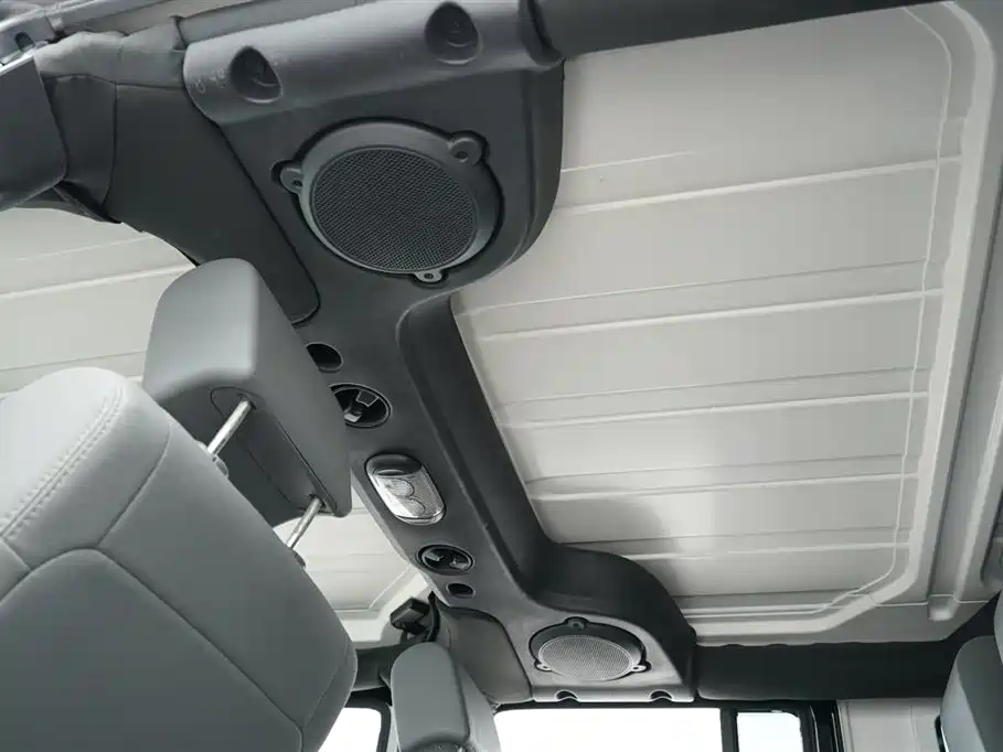 Jeep Wrangler 2010 2010 3.8L Rubicon 4-Door