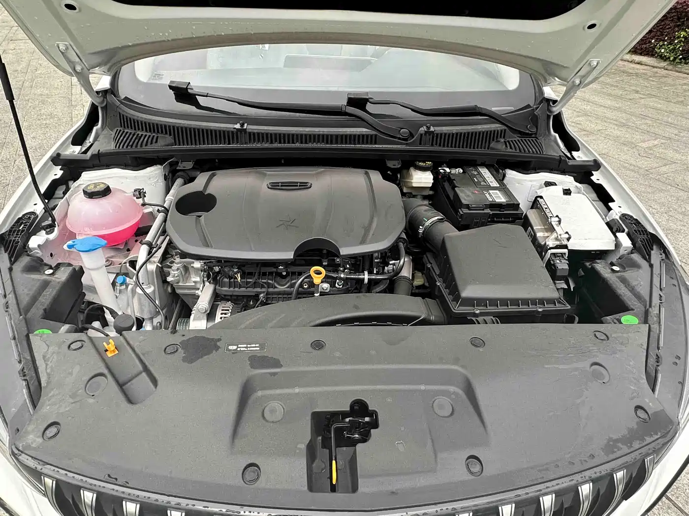 Фото 8 - Geely Binrui