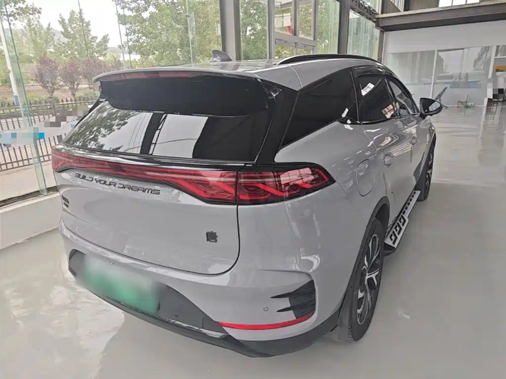 BYD Tang New Energy 2025 DM-i 115KM Premium фото 7