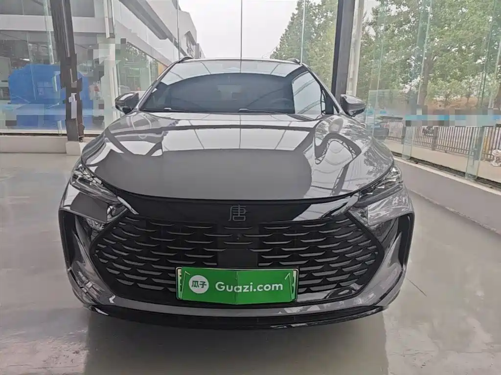 BYD Tang New Energy 2025 DM-i 115KM Premium фото 3