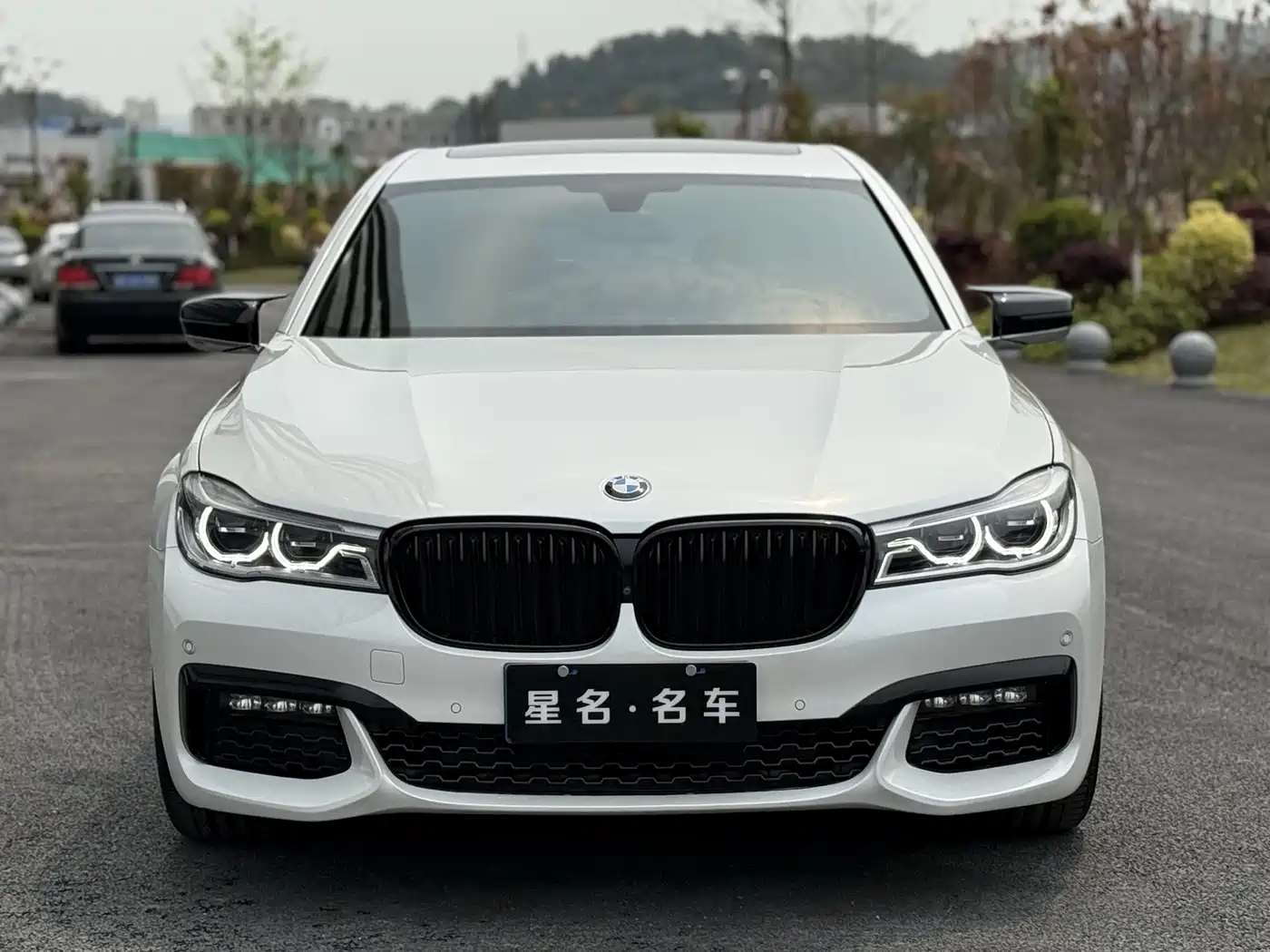 BMW 7 Series 2018 730Li Premium Type M Sport Package фото 2