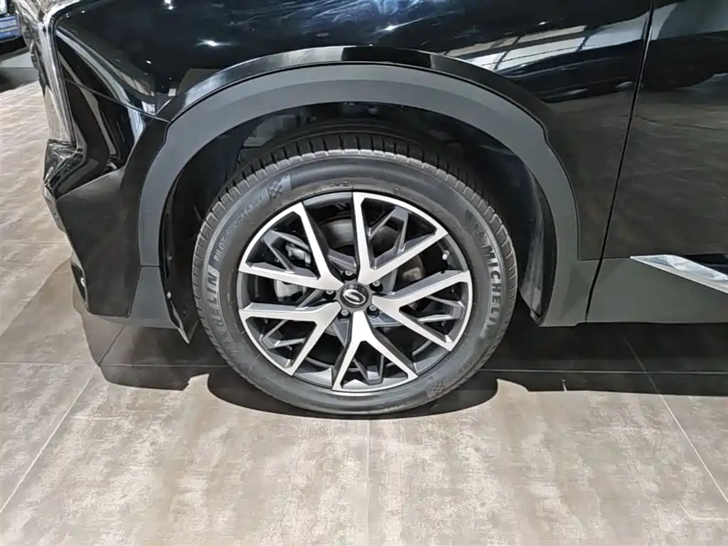 GAC Trumpchi Trumpchi GS8 2022 Pilot Series 2.0TGDI 4WD Luxury Smart Connect Edition (7-Seater) фото 23