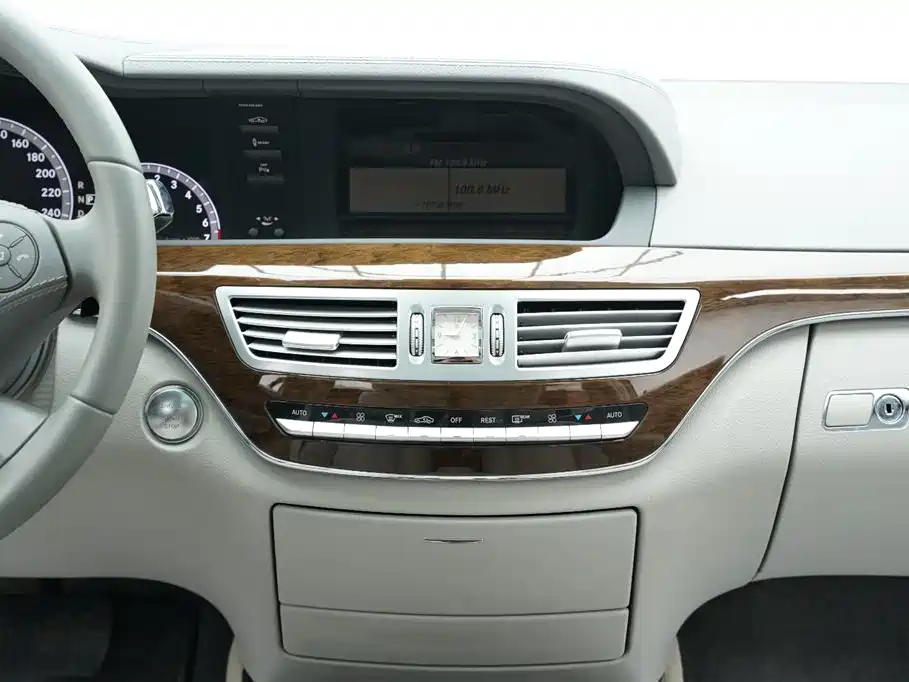 Mercedes-Benz S-Class 2010 S 300 L Luxury фото 16