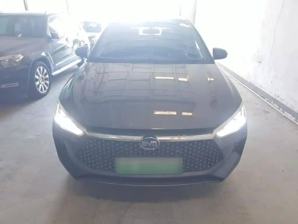 BYD e2 2021 2021 Luxury Edition