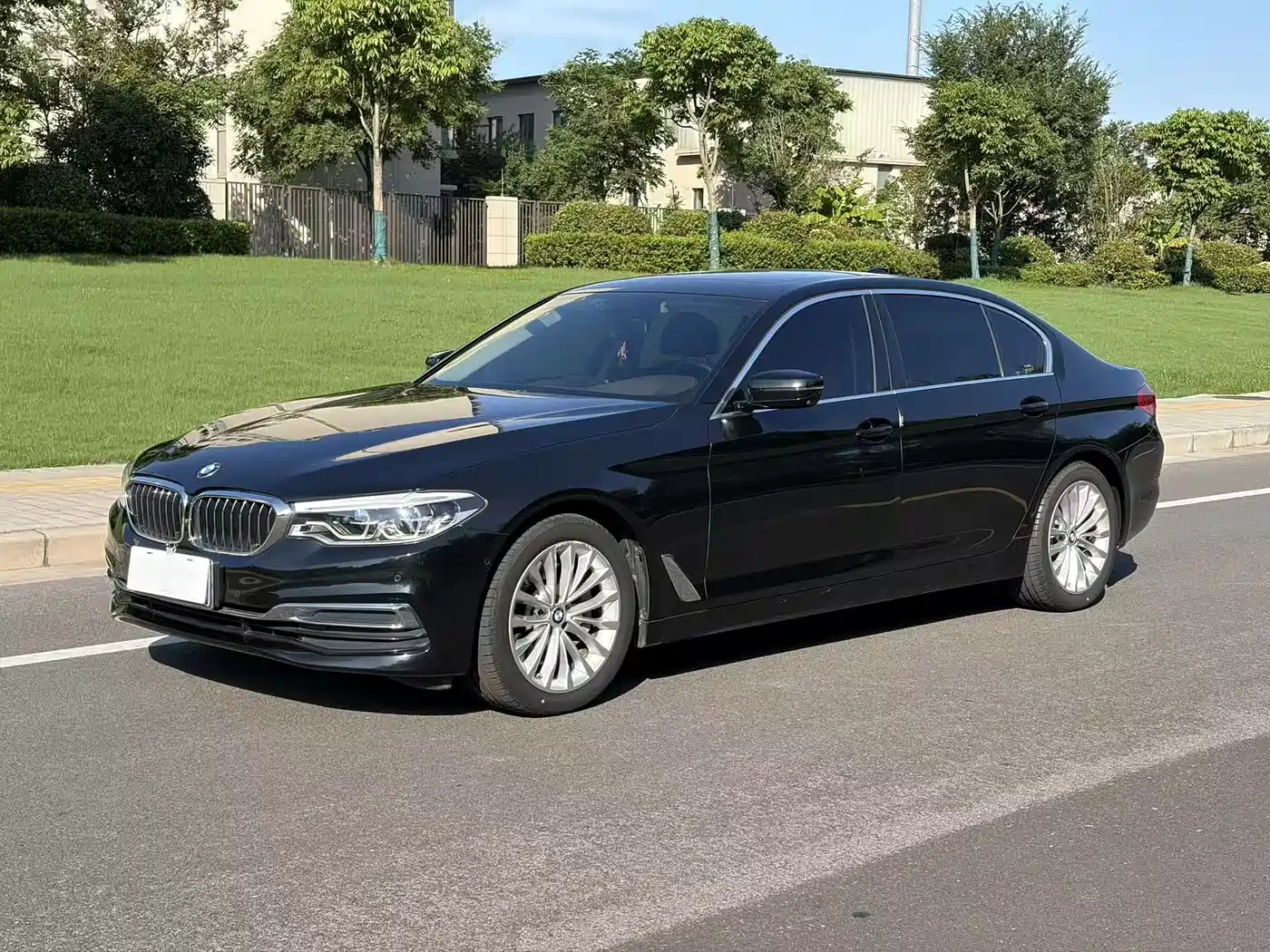 BMW 5 Series 2020 530Li Premium Luxury Package