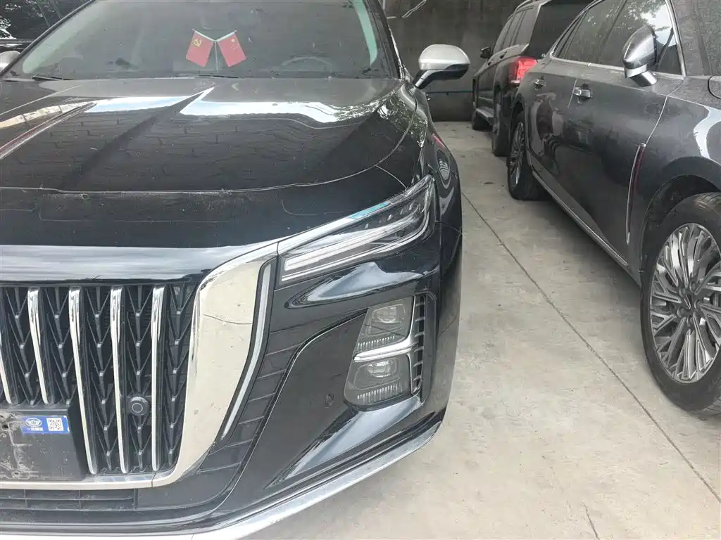 Hongqi H5 2024 2.0T Automatic Smart Connect Flag Smooth Edition фото 15