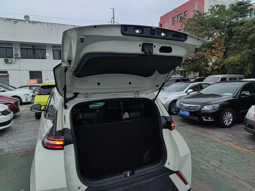 BYD Seagull 2023 2023 Vitality Edition