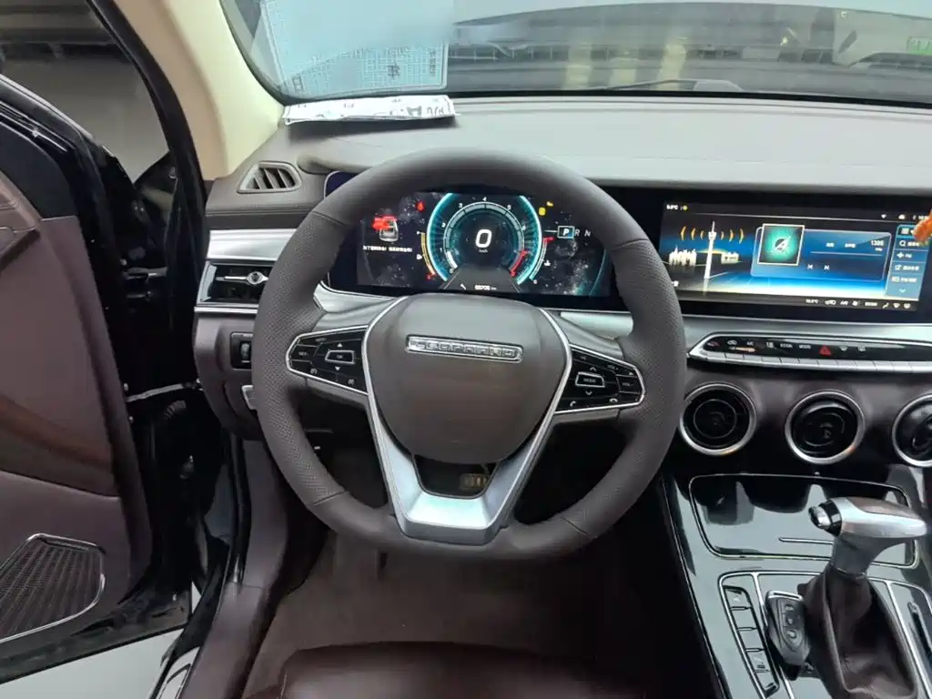 Leopaard Mattu 2019 2018 1.6T GDI DCT Luxury