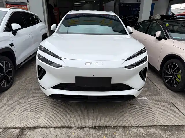 BYD SEA LION 06 NEW ENERGY