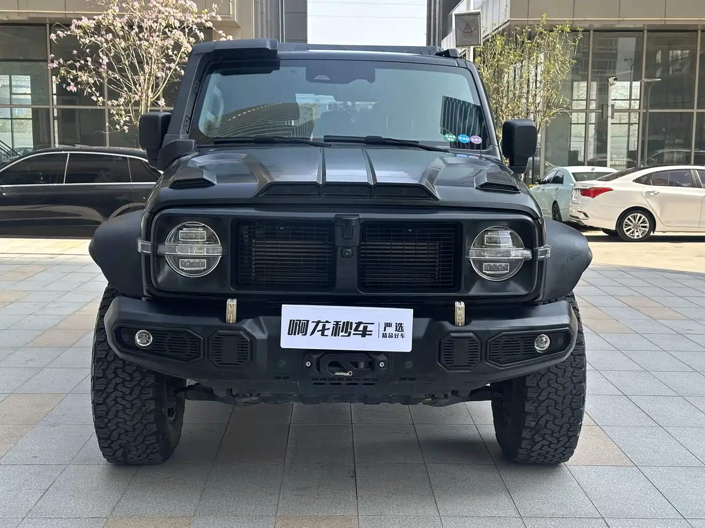 TANK 300