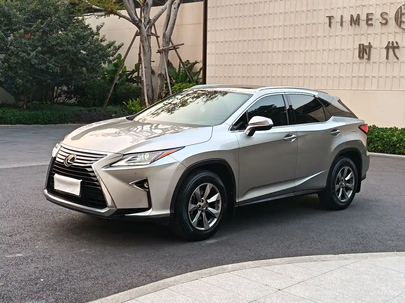 Lexus RX 2016 300 2WD Comfort Edition China VI
