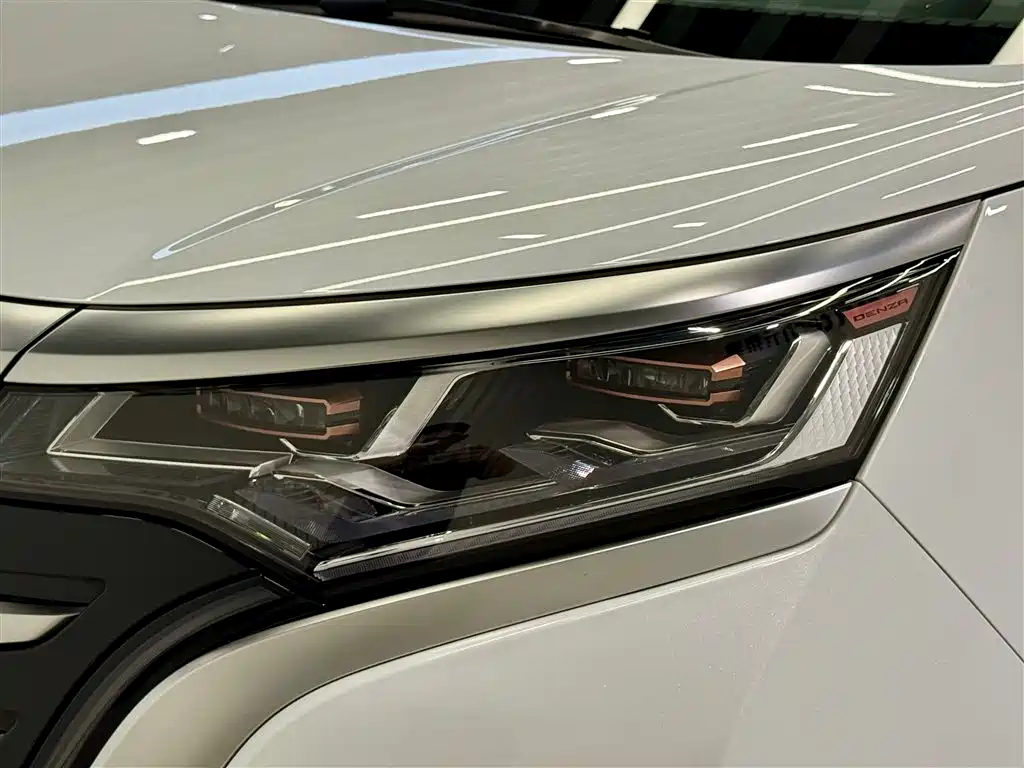 Denza D9 2024 DM-i 980 AWD Prestige фото 8