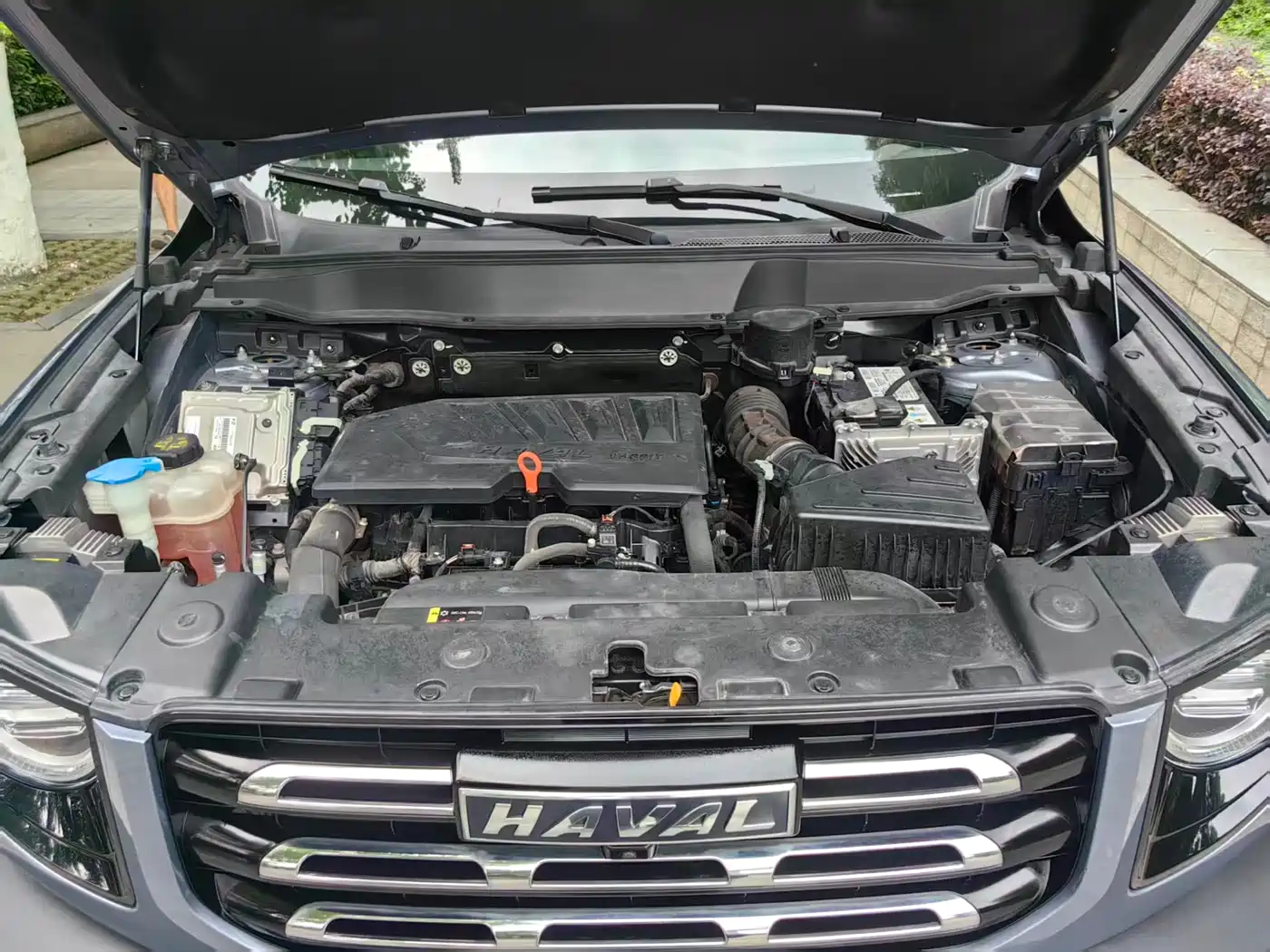 Haval Big Dog 2022 1.5T DCT FWD Border Collie Edition фото 16