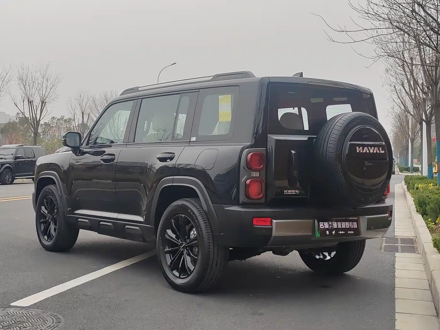 HAVAL RAPTORS NEW ENERGY