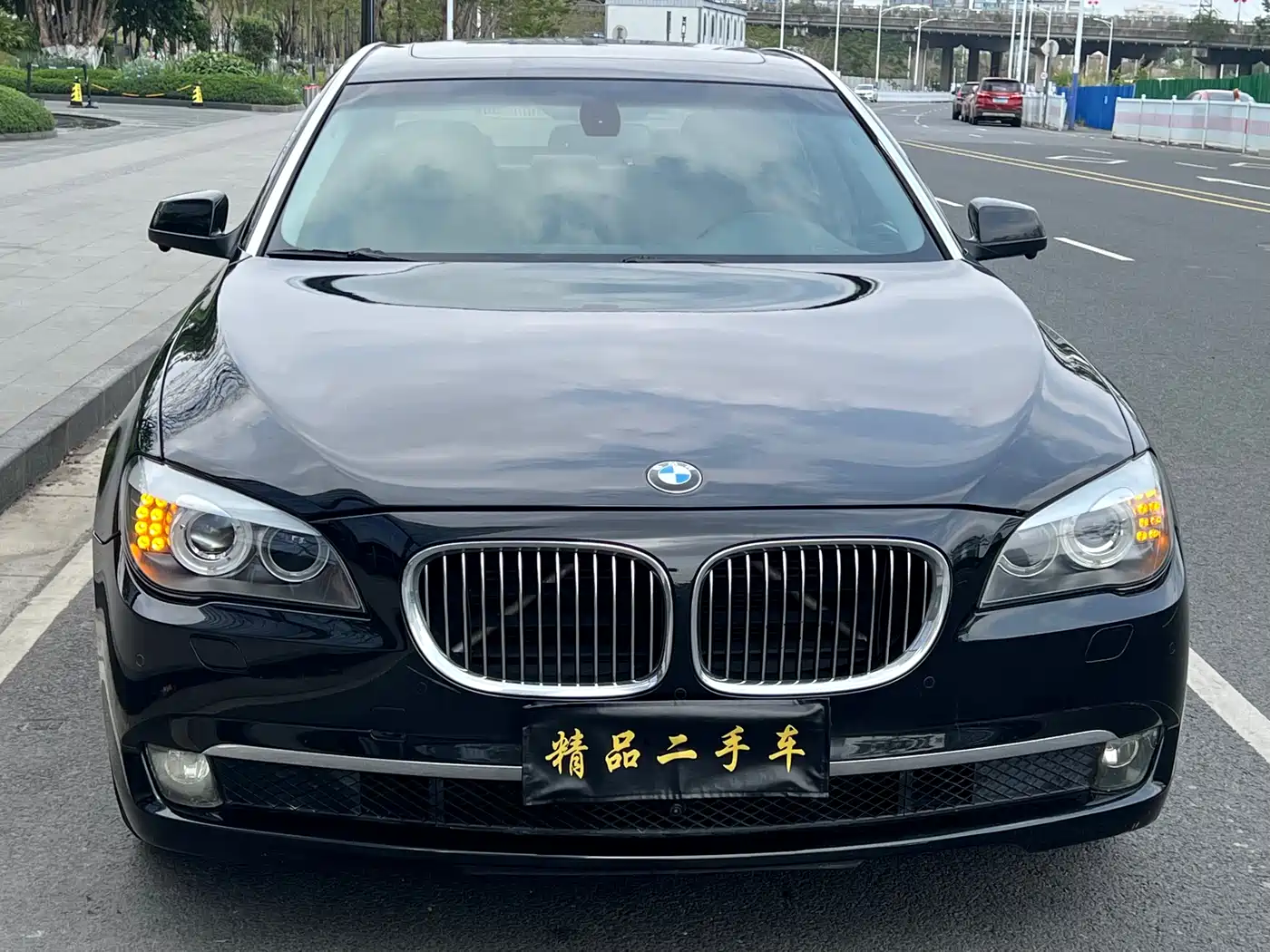BMW 7 Series 2009 730Li Leading фото 2