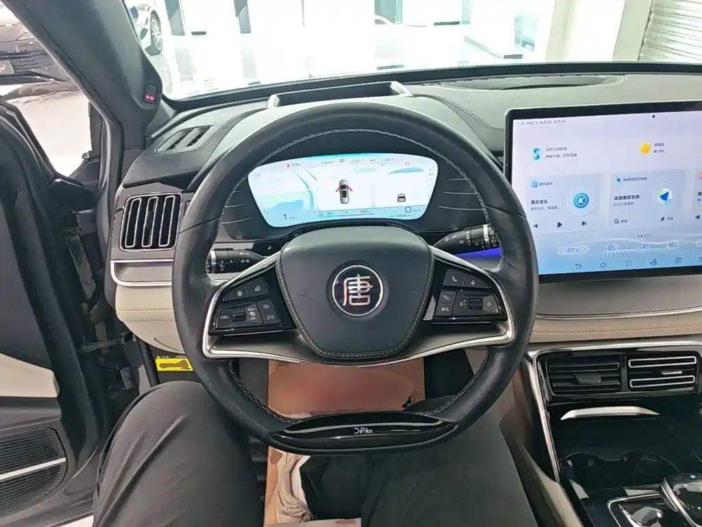 Photo 11 - BYD Tang New Energy