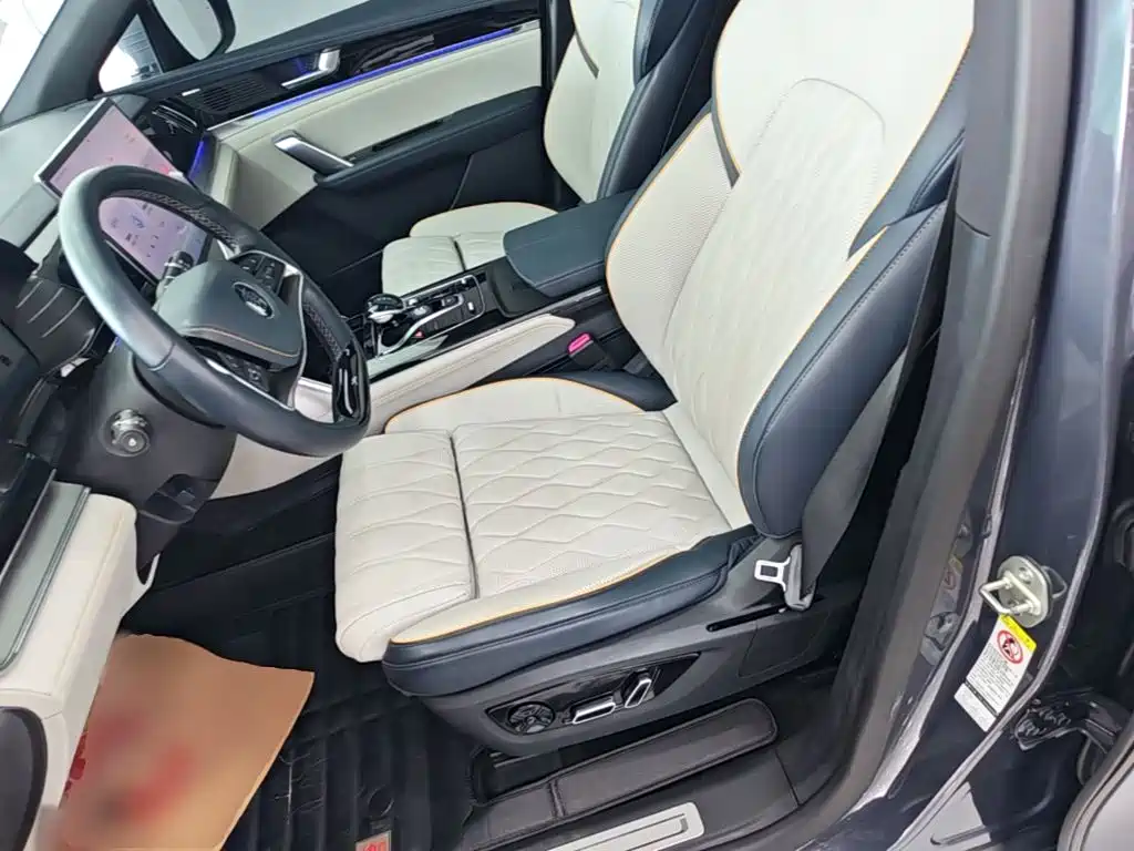 Photo 15 - BYD Tang New Energy