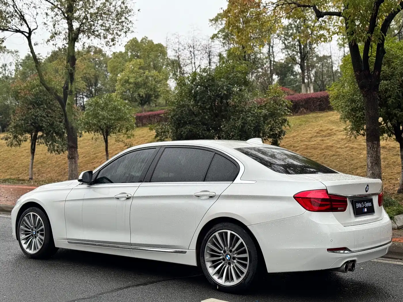 BMW 3 Series 2018 320Li Leading Luxury Package фото 7