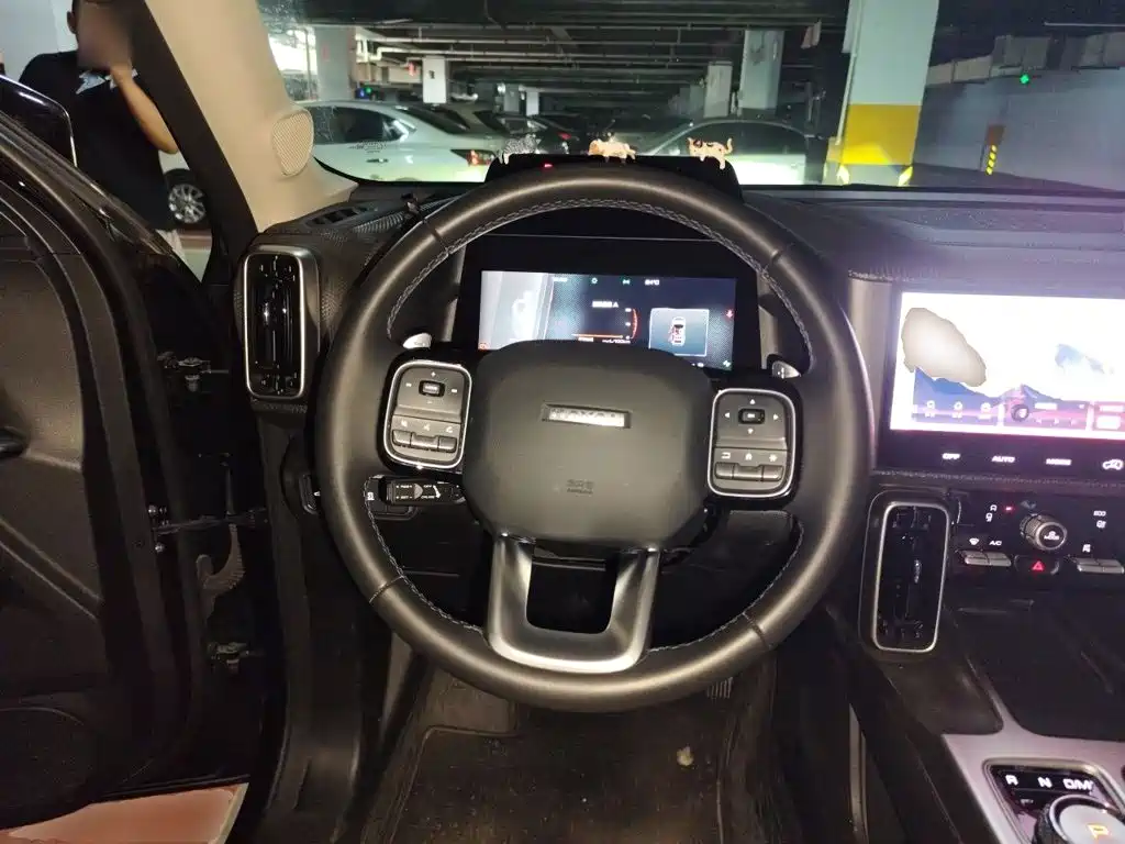 Haval Dargo 2024 2024 1.5T DCT Border Collie Edition