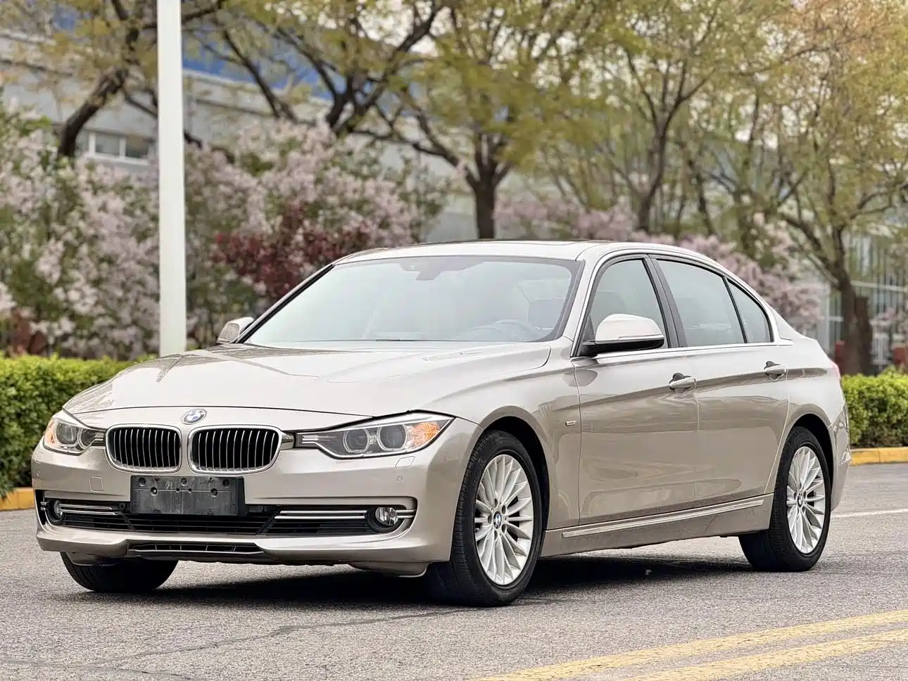 BMW 3 Series 2013 320Li Luxury Design Package